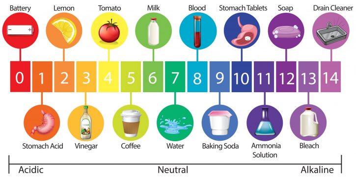 An Education Poster of pH Scale